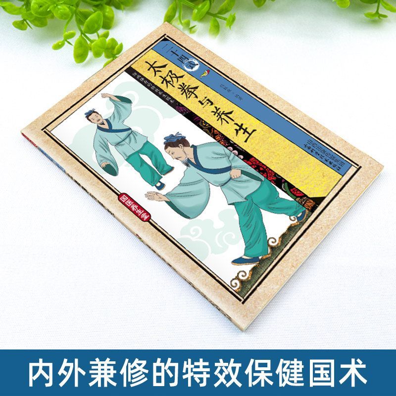 24 Stili di Tai Chi ed Eserciz - Health & Wellness Unit recensione e prezzo
